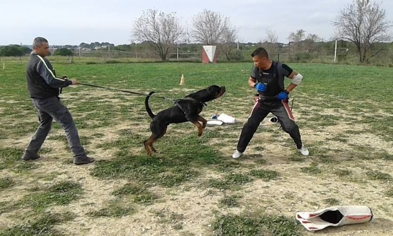 Photos travail (rci)